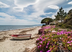 Francja, Korsyka, Morze, Plaża, Łódka, Kwiaty, Niebo, Drzewa