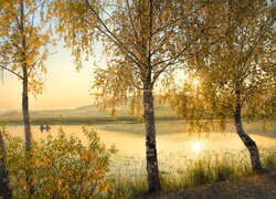 Łódka i rozświetlone pożółkłe brzozy nad jeziorem