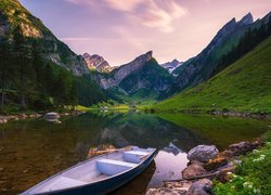 Szwajcaria, Góry, Alpy, Jezioro Seealpsee, Kamienie, Drzewa, Łódka, Domy