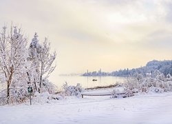 Jezioro, Łódka, Ośnieżone, Drzewa, Zima