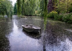 Łódka, Staw, Wierzby płaczące, Ogród, Gooderstone Water Gardens, 
Gooderstone, Norfolk, Anglia