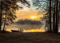 Łódka nad stawem w zamglonym lesie o zachodzie słońca