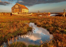 Rzeka, Dom, Łódka, Blask słońca, Rośliny, Thornham Old Harbour, Anglia