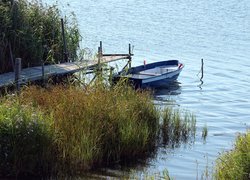 Łódka obok pomostu i szuwarów