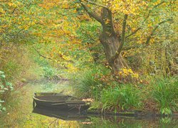 Łódka pod drzewem na rzece
