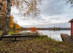 Łódka pod jesienna brzozą na brzegu jeziora