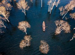 Łódka pomiędzy drzewami na wodzie