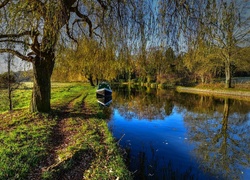 Park, Kanał, Łódka, Drzewa