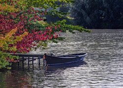 Łódka przy pomoście pod jesiennymi drzewami nad rzeką