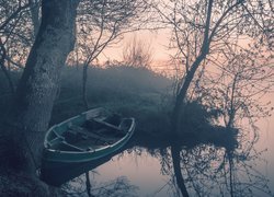 Łódka przymocowana do drzewa