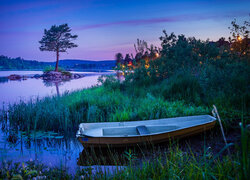 Łódka w szuwarach na brzegu jeziora wieczorową porą