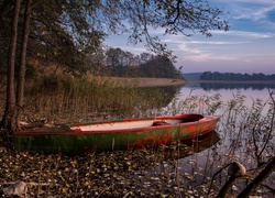 Jezioro, Łódka, Trawy, Liście, Drzewa