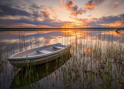 Łódka wśród traw na jeziorze o zachodzie słońca