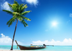 Łódka zacumowana przy palmie na plaży