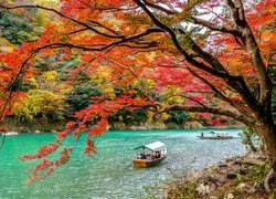 Rzeka Hozu, Łódki, Kolorowe, Drzewa, Dzielnica Arashiyama, Kioto, Japonia