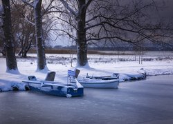 Łódki pod drzewami na brzegu zamarzniętego jeziora