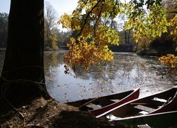 Łódki pod jesiennym drzewem na brzegu jeziora