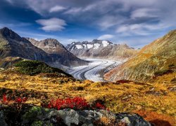 Lodowiec Aletschgletscher w Szwajcarii