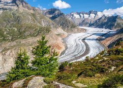 Lodowiec Aletschgletscher, Aletsch, Góry Alpy Berneńskie, Kanton Valais, Szwajcaria