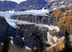 Góry, Crowfoot Mountain, Park Narodowy Banff, Drzewa, Lodowiec, Crowfoot Glacier, Alberta, Kanada