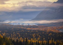 Lodowiec Matanuska, Góry, Lasy, Jesienne, Drzewa, Alaska, Stany Zjednoczone