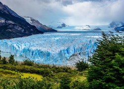 Lodowiec, Perito Moreno, Jezioro, Lago Argentino, Góry, Drzewa, Park Narodowy Los Glaciares, Prowincja Santa Cruz, Argentyna