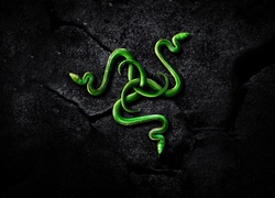 Logo firmy Razer w grafice 3D