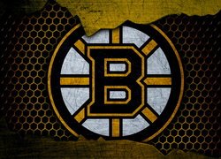 Logo klubu hokejowego Boston Bruins