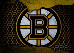 Logo, Klub hokejowy, Boston Bruins