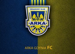 Logo, Arka Gdynia, Piłka nożna