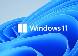 Logo Windows 11