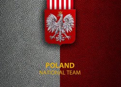 Logo z godłem reprezentacji Polski w piłce nożnej mężczyzn