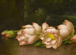 Malarstwo, Obraz, Martin Johnson Heade, Kwiaty, Lotosy