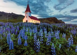 Kościół, Łąka, Łubin, Góry, Miejscowość Vik i Myrdal, Gmina Myrdalshreppur, Islandia