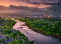 Łąka, Łubin, Rzeka, Góry, Kościół, Miejscowość Vik i Myrdal, Gmina Myrdalshreppur, Islandia