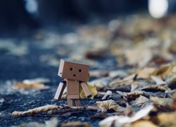 Ludzik Danbo z kartonu na suchych liściach