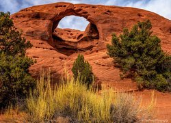 Stany Zjednoczone, Arizona, Dolina, Monument Valley, Skały, Łuk skalny, Honeymoon Arch, Drzewa, Krzewy