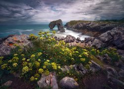 Morze, Łuk skalny, Kwiaty, Skały, Wybrzeże, Playa de La Huelga, Gmina Hontoria, Asturia, Hiszpania