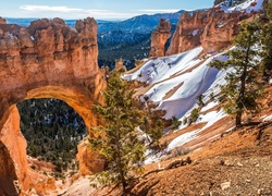 Stany Zjednoczone, Stan Utah, Park Narodowy Bryce Canyon, Kanion, Góry, Drzewa, Łuk Natural Bridge, Skały