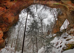 Stany Zjednoczone, Stan Kentucky, Kanion Red River Gorge, Łuk, Skalny, Zima, Drzewa