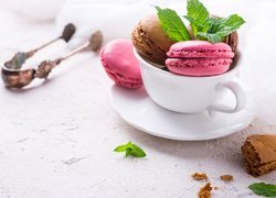 Biała, Filiżanka, Makaroniki, Mięta, Szczypce