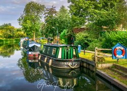 Rzeka, Chelmer River, Motorówki, Statki, Drzewa, Lato, Maldon Essex, Anglia