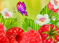 Maliny i motyl w grafice