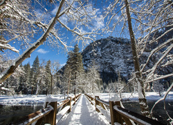 Malowniczy mostek nad rzeką z widokiem na drzewa i góry w śnieżnej szacie
