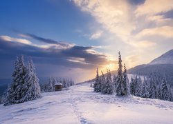 Malowniczy zimowy widok lasu i gór w świetle zachodzącego słońca