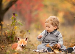 Mały chłopiec i lisek na polanie