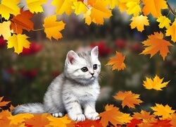 Kotek, Liście, Jesień, Grafika