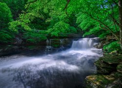 Mały wodospad na rzece New w Parku Narodowym New River Gorge National River