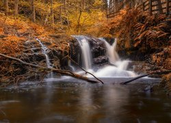 Mały wodospad w jesiennym lesie