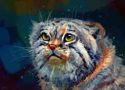 Manul, Grafika